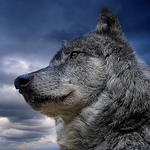 Profile Picture of Erik Hubbard (@black.ketzal) on Flickr