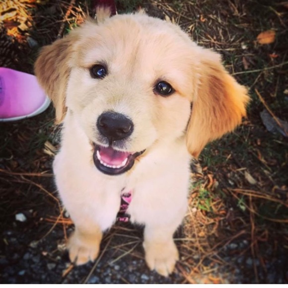 Profile Picture of Allison Clay (@ajclay1) on Poshmark