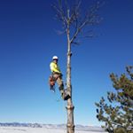 Profile Picture of Andrew Holt (@holt_) on Instagram