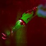 Profile Picture of briankamau63 (@briankamau63) on Instagram