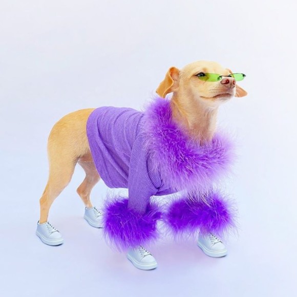 Profile Picture of Olivia Heinle (@livsclothingg) on Poshmark