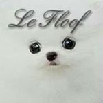 Profile Picture of Matthew Pippin (@_le_floof_) on Instagram