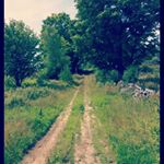 Profile Picture of emily_paige_morrill (@emily_paige_morrill) on Instagram