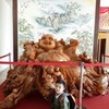 Profile Picture of wilbert_brian (@@2160765415) on Tiktok