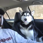 Jeff Angrignon🏂 - Instagram Profile Picture of Jeff Angrignon🏂 (@jeffreyangrignon) on Instagram