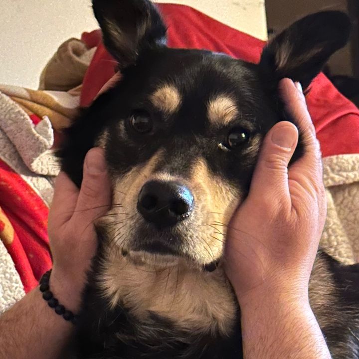 Profile Picture of Tara (@tara_lauren12) on Tiktok