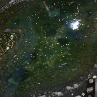 Profile Picture of Rosio  Ramirez.hernandez (@RosioRamirezhe1) on Twitter