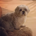 Profile Picture of Alberto Elias (@alberto.rosales.sanchez.1179) on Flickr