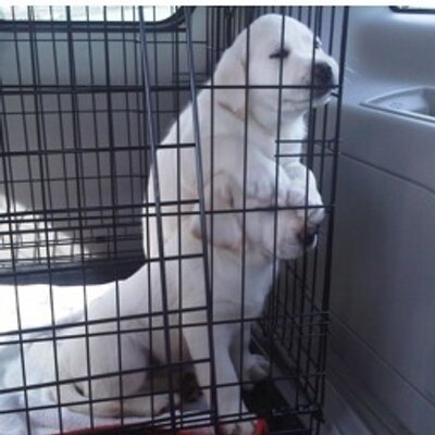 Profile Picture of Lanny Scott (@Rulle35) on Twitter