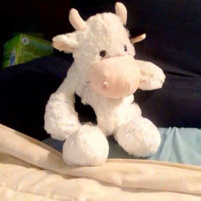 Profile Picture of Lady Penelope Praying & Stitching 🤵👣👣🐱🐺🇺🇸 (@LadyScott14) on Twitter