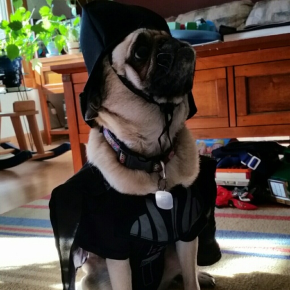 Profile Picture of Kalea Oftedahl (@kjox3) on Poshmark