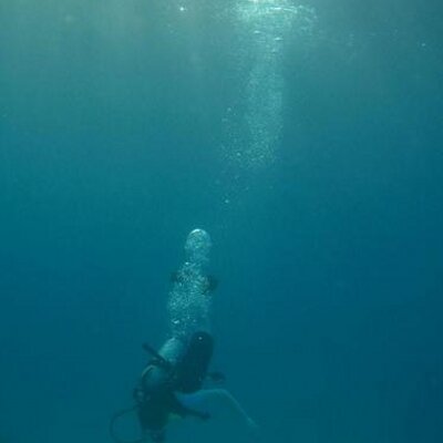 Profile Picture of Erica Nadeau (@elnadeau) on Twitter