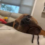 Profile Picture of Sam Ace (@Sam-Ace) on Facebook