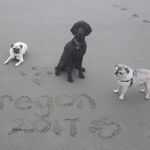 Jason Miller Trueman - Instagram Profile Picture of Jason Miller Trueman (@rivierabusman1977) on Instagram