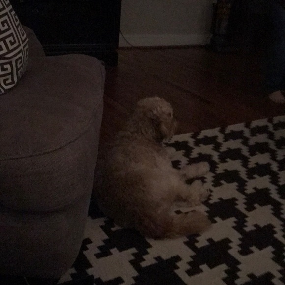 Profile Picture of Jeff Allen (@jkallen21) on Poshmark