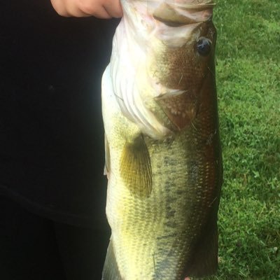 Profile Picture of Tanner Alexander (@RoAx777) on Twitter