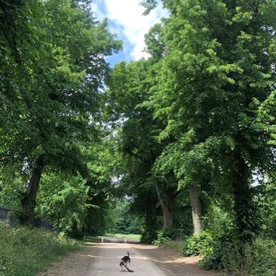 Profile Picture of Libby Potter (@libbyjpotter) on Twitter