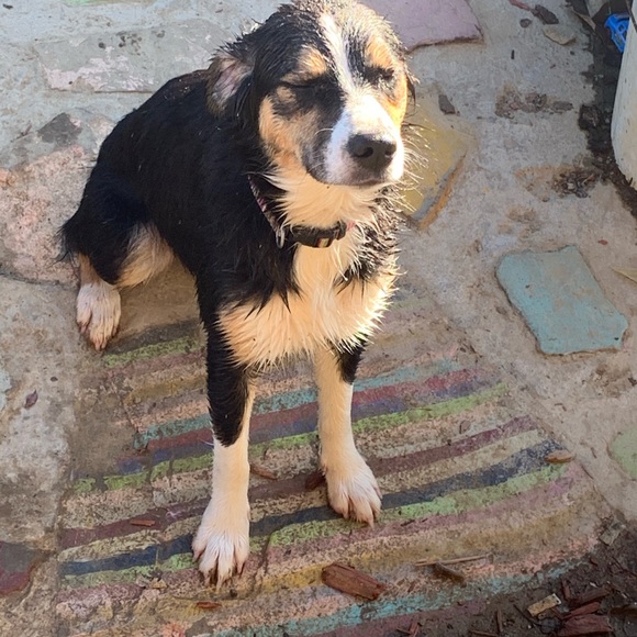 Profile Picture of Katelyn Phelps (@phelps123) on Poshmark