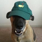 Profile Picture of Aimee Macpherson (@aimeehoyer) on Instagram