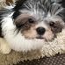 Profile Picture of Ann Cooper (@ann.cooper.129142) on Facebook