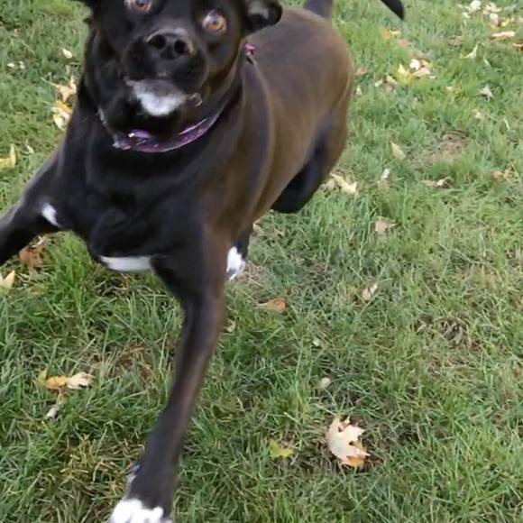 Profile Picture of Max Williams (@maxwilliams668) on Poshmark