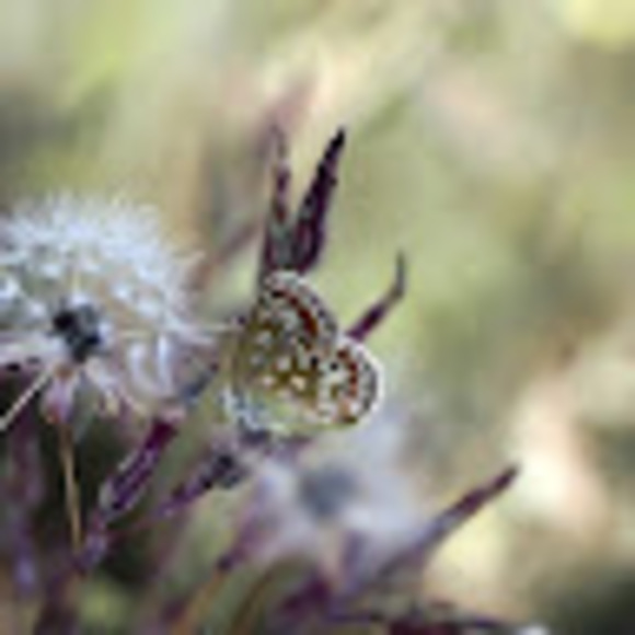 Profile Picture of Christian Eddington (@christianedd892) on Poshmark