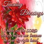 Profile Picture of Catherine Powell (@catherine.powell.520900) on Facebook