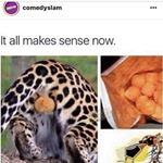 Stephen Castillo - Instagram Profile Picture of Stephen Castillo (@stephencastillo22) on Instagram