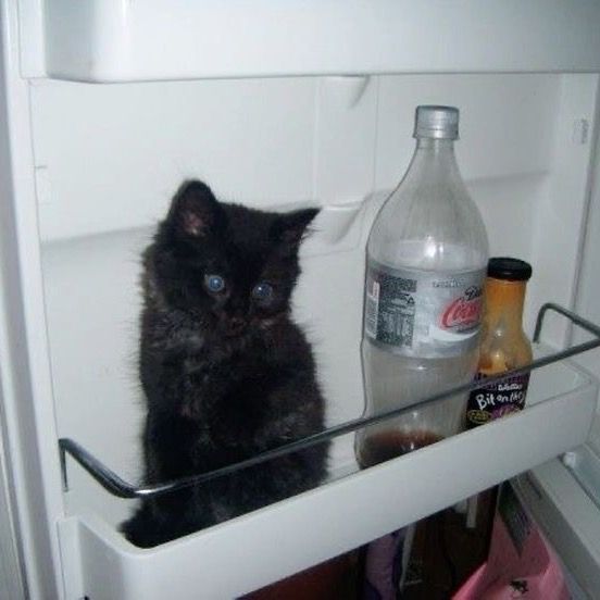 Profile Picture of 🫧 (@dozhral) on Tiktok