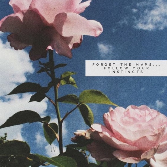 Profile Picture of Shiloh Guell (@shilohvg) on Poshmark