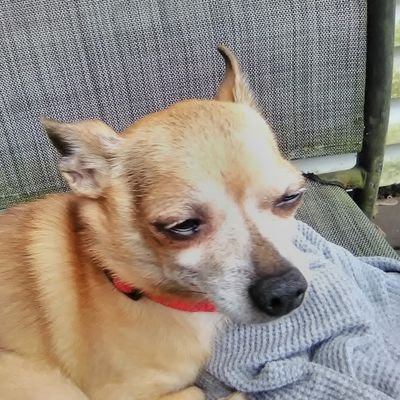 Profile Picture of Ghost Of Tom Joad (@tom_carano) on Twitter