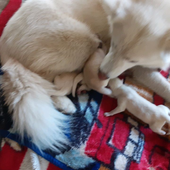 Profile Picture of rezaj91011 (@jessereza) on Tiktok