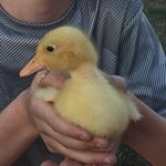 Profile Picture of Owen Cummings (@ow_tr_cu) on Instagram