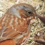 Profile Picture of Marilyn Fifield (@marilyn.fifield.3) on Facebook