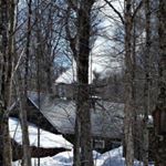 Profile Picture of Pierre-luc Poulin (@pierreluc.poulin.7) on Instagram