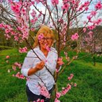 Profile Picture of Monika Steiner (@monika.steiner.56) on Instagram