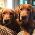 Profile Picture of Nancy Roberts (@nancy.roberts.94402) on Facebook