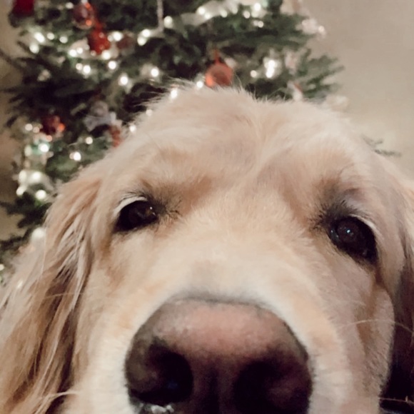 Profile Picture of Maddie Overall (@maddieoverall) on Poshmark