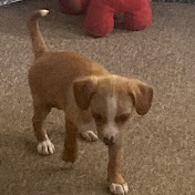 Profile Picture of Danyell Allen (@danyellallen4521) on Youtube