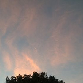 Profile Picture of Anupam Mandal (@anupammandal002) on Pinterest