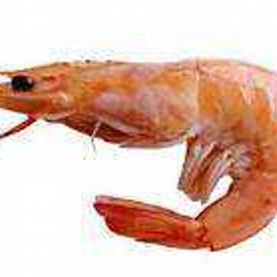 Profile Picture of Prawn Ramsden (@DavePrawn) on Twitter