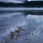 Jeanette_Horner - Instagram Profile Picture of Jeanette_Horner (@jeanette_horners) on Instagram