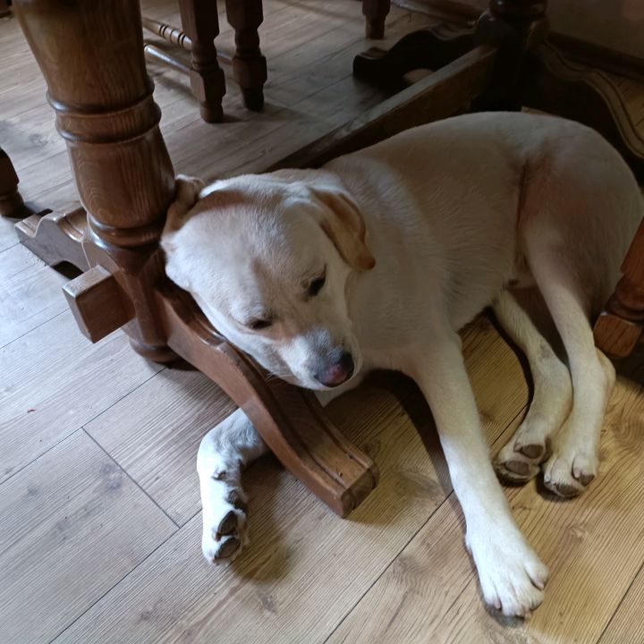 Profile Picture of Jia Hou129 (@jiahou129) on Tiktok