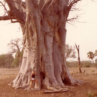 Profile Picture of Giuseppe Belotti (@giuseppe.belotti1) on Facebook