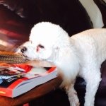 Profile Picture of Clarence Todd (@clarence.todd) on Instagram
