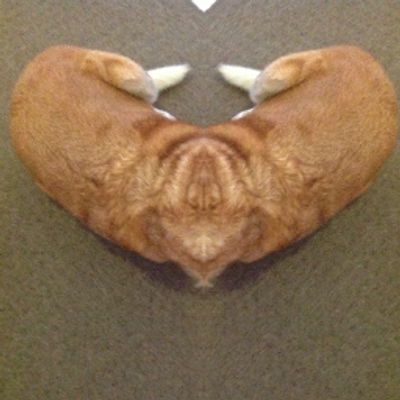 Profile Picture of Andrew Irving (@irvs351) on Twitter