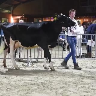 Profile Picture of Marc Kemp (@marc_kemp) on Instagram