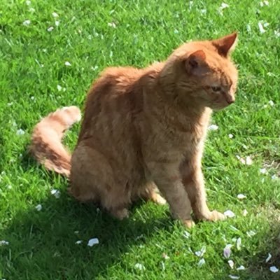 Profile Picture of Jan Keane (@jank188) on Twitter