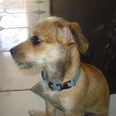 Profile Picture of Itzel Solis Salas (@itzelsolis101) on Twitter