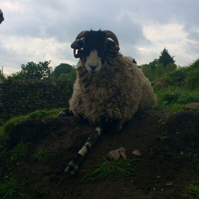 Profile Picture of James Newhouse (@NewyJames) on Twitter